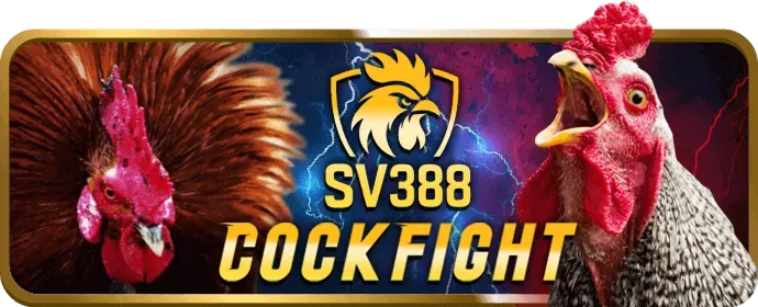 Hình ảnh minh họa đánh giá và phân tích trò chơi bwing casino