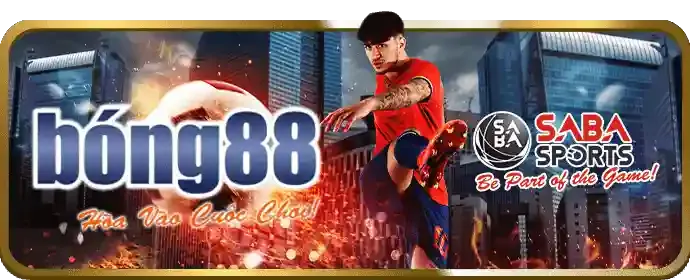 Cá cược thể thao bwing casino